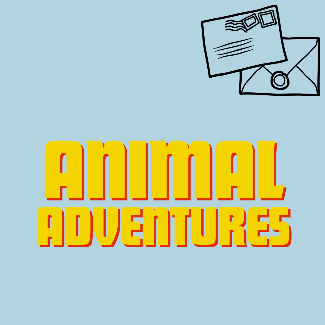 Animal Adventures Ages 6-8